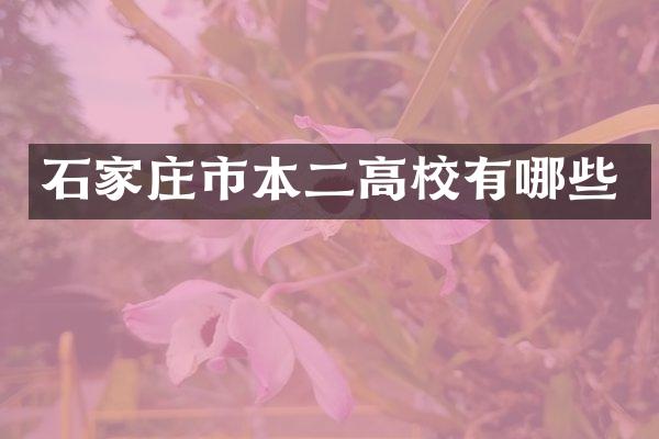石家庄市本二高校有哪些