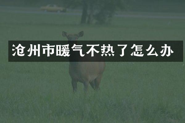 沧州市暖气不热了怎么办