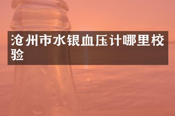 沧州市水银血压计哪里校验