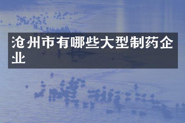 沧州市有哪些大型制药企业