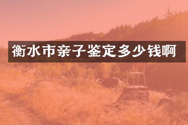 衡水市亲子鉴定多少钱啊