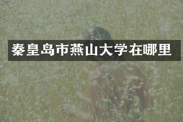 秦皇岛市燕山大学在哪里
