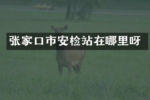 张家口市安检站在哪里呀