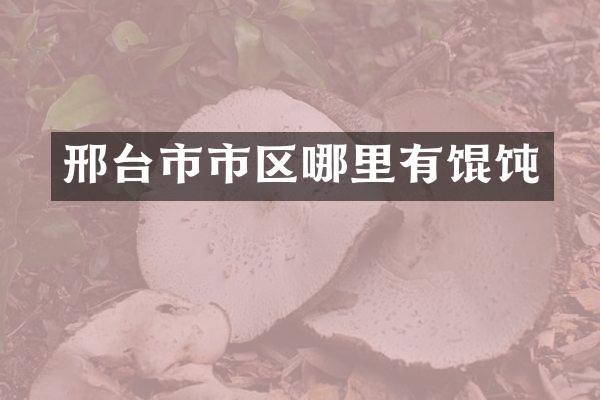 邢台市市区哪里有馄饨