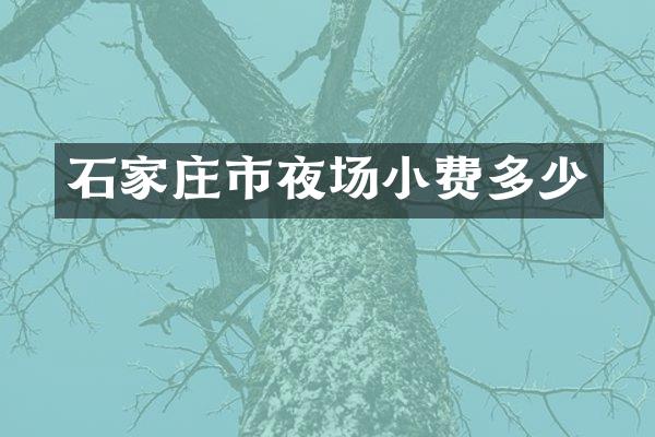 石家庄市夜场小费多少