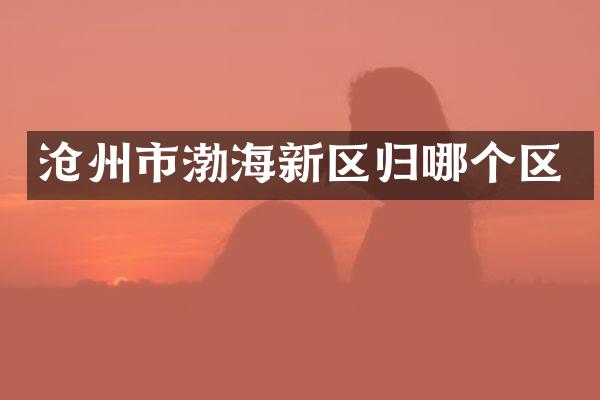 沧州市渤海新区归哪个区