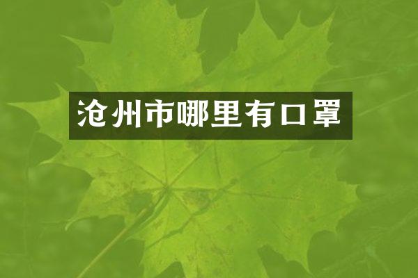 沧州市哪里有口罩