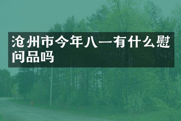 沧州市今年八一有什么慰问品吗
