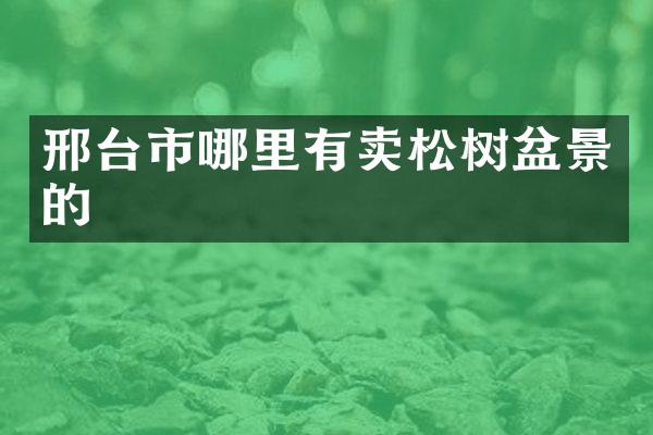 邢台市哪里有卖松树盆景的