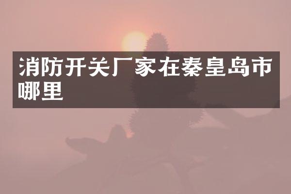 消防开关厂家在秦皇岛市哪里