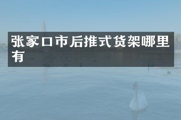 张家口市后推式货架哪里有