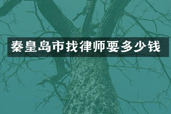 秦皇岛市找律师要多少钱