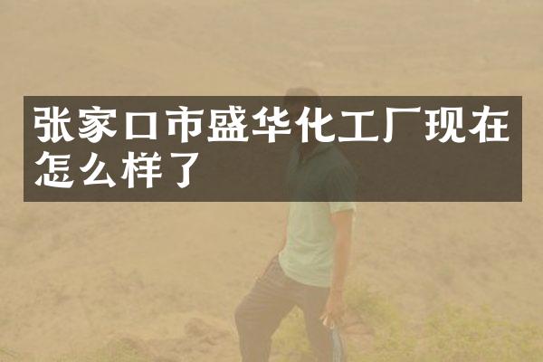 张家口市盛华化工厂现在怎么样了