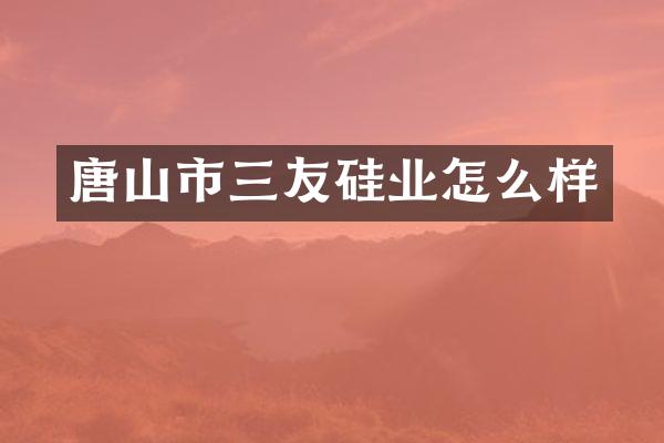 唐山市三友硅业怎么样