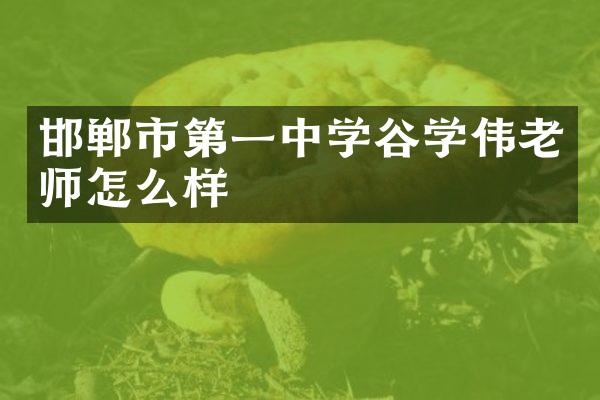 邯郸市第一中学谷学伟老师怎么样