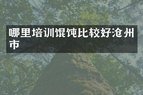 哪里培训馄饨比较好沧州市