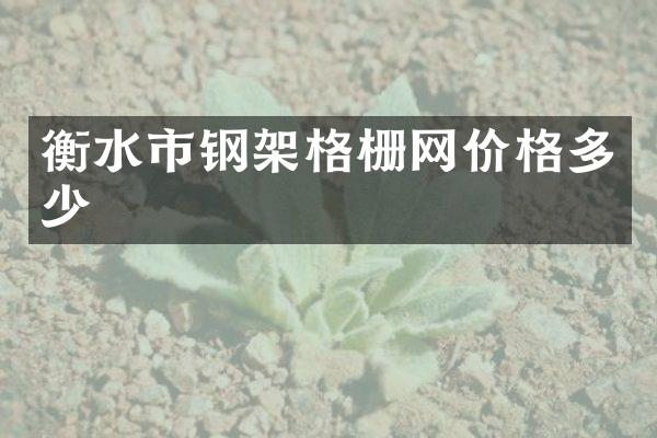 衡水市钢架格栅网价格多少