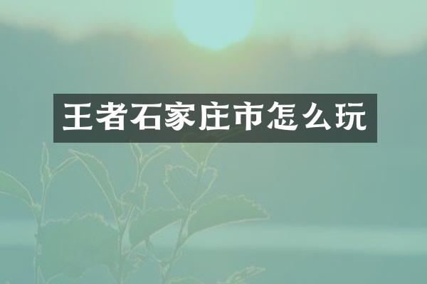 王者石家庄市怎么玩