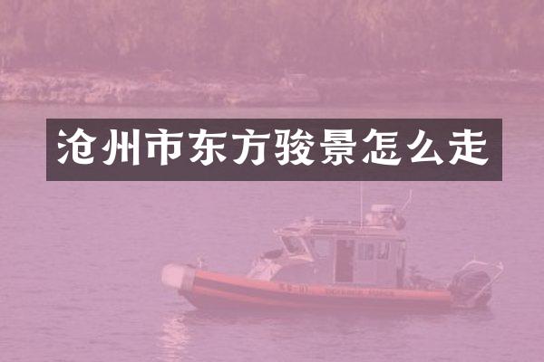 沧州市东方骏景怎么走