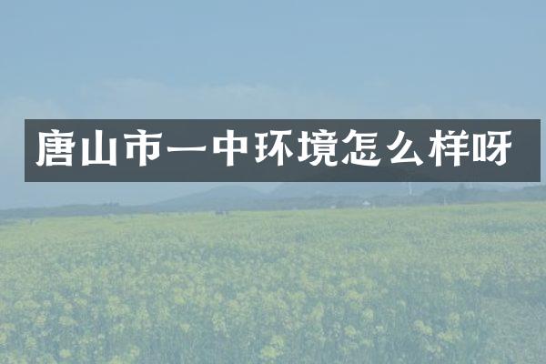 唐山市一中环境怎么样呀