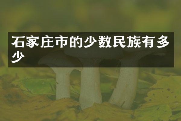 石家庄市的少数民族有多少