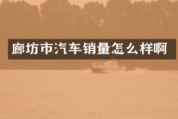 廊坊市汽车销量怎么样啊