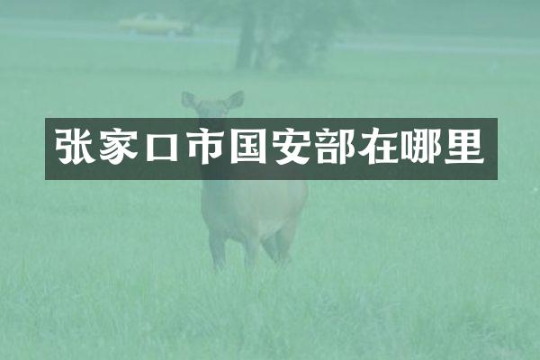 张家口市国安部在哪里