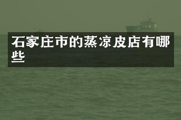 石家庄市的蒸凉皮店有哪些