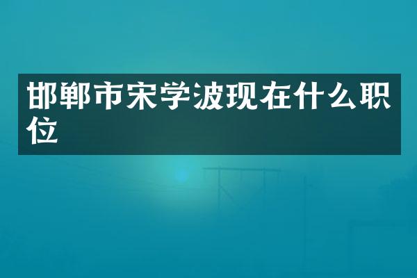 邯郸市宋学波现在什么职位