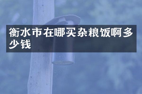 衡水市在哪买杂粮饭啊多少钱