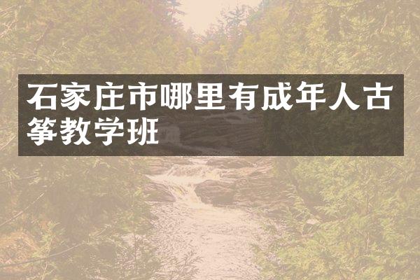 石家庄市哪里有成年人古筝教学班