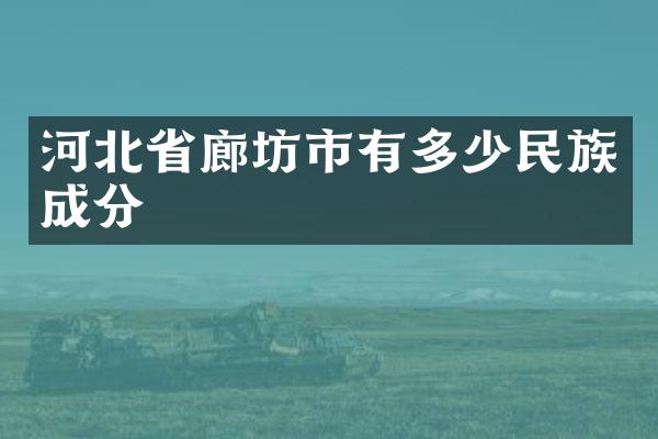 河北省廊坊市有多少民族成分