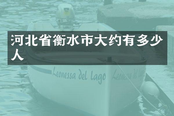 河北省衡水市大约有多少人