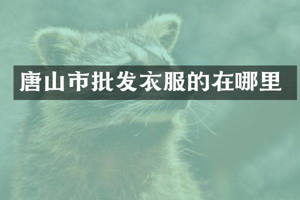 唐山市批发衣服的在哪里