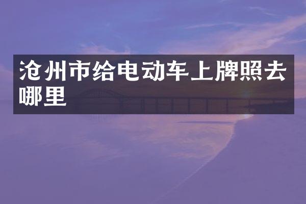 沧州市给电动车上牌照去哪里