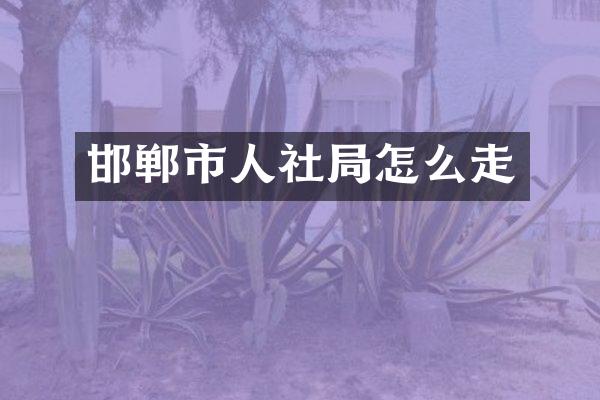 邯郸市人社局怎么走