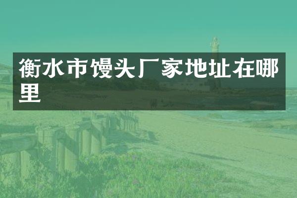 衡水市馒头厂家地址在哪里