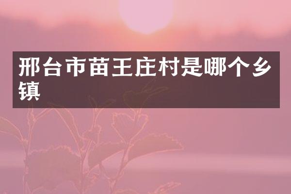 邢台市苗王庄村是哪个乡镇