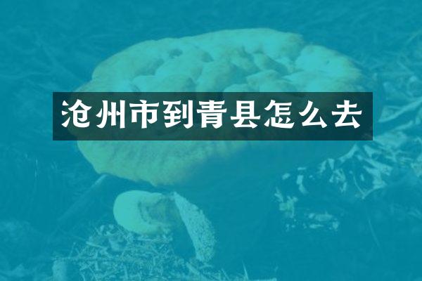 沧州市到青县怎么去