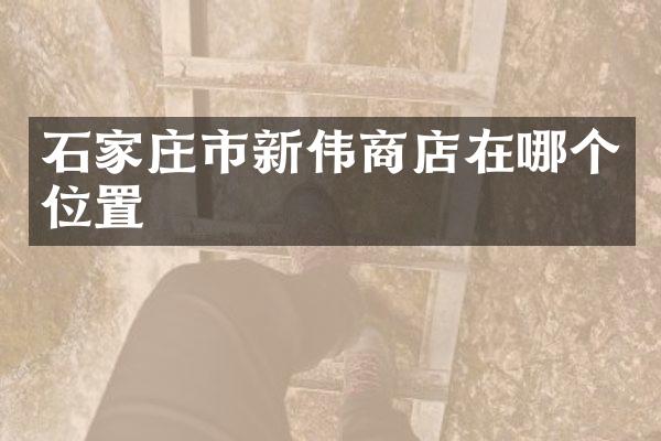 石家庄市新伟商店在哪个位置