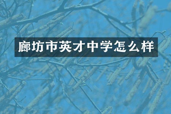 廊坊市英才中学怎么样