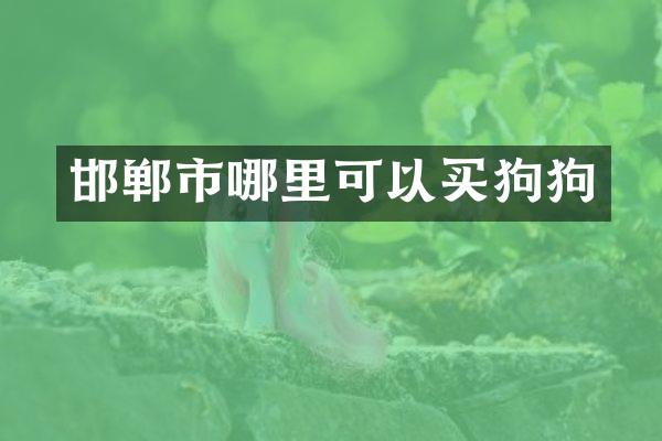 邯郸市哪里可以买狗狗