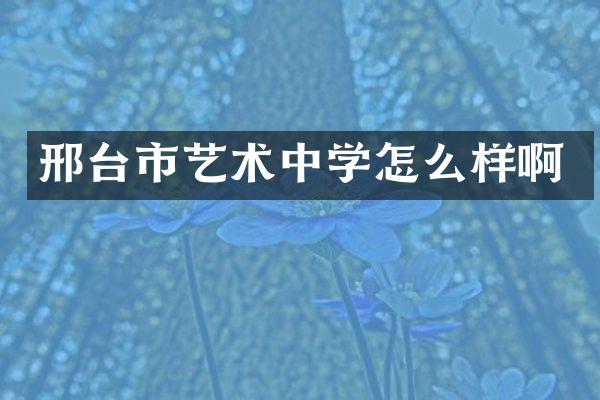 邢台市艺术中学怎么样啊