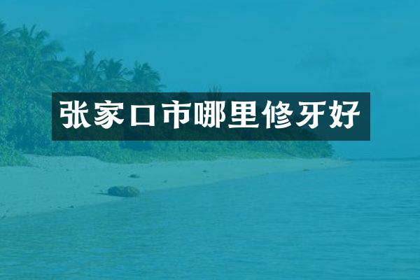 张家口市哪里修牙好