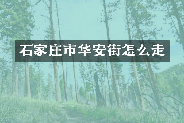 石家庄市华安街怎么走
