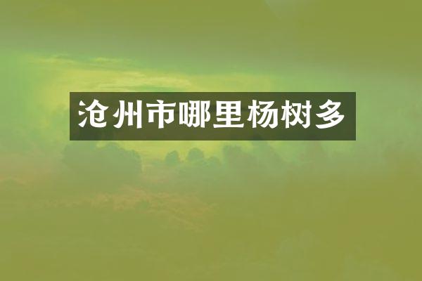 沧州市哪里杨树多