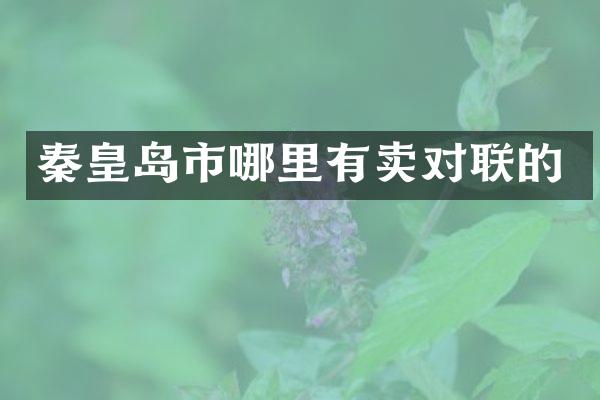 秦皇岛市哪里有卖对联的