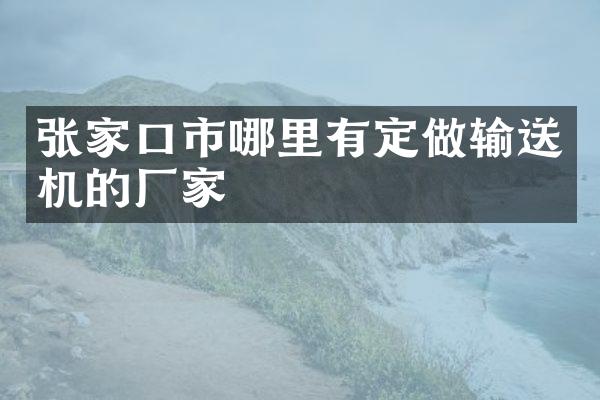 张家口市哪里有定做输送机的厂家