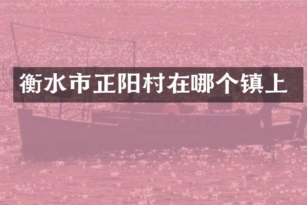 衡水市正阳村在哪个镇上