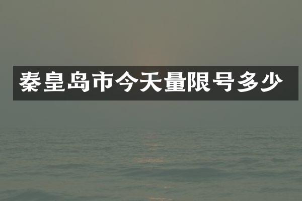 秦皇岛市今天量限号多少